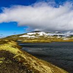 Seasonal Ritual: Harvesting frost-kissed dawns