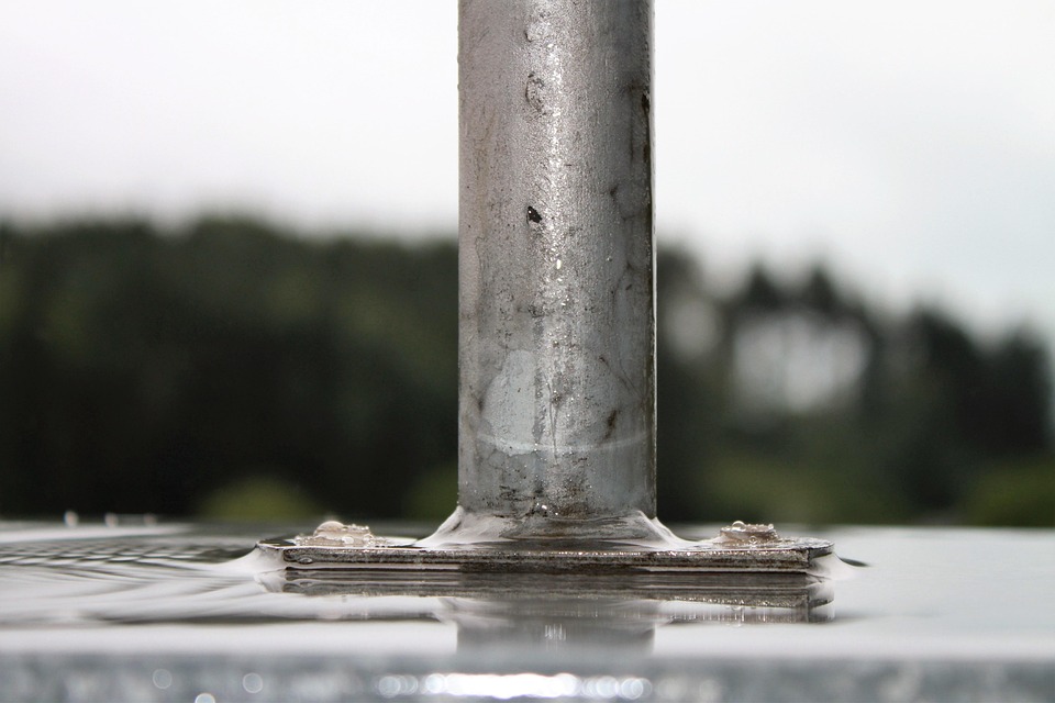 Best Of: Stone’s Language Chisels and the Garden’s Unspoken Lines