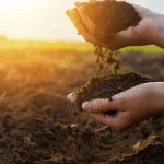 What to Do in November for Rich Loam Soil in Spring What to Do in November for Rich Loam Soil in Spring