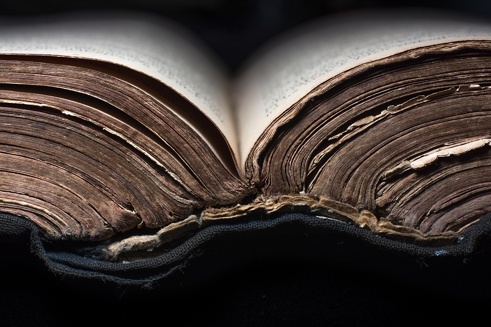 Poetic Guide: Beholding Earth’sBreath Through Silence