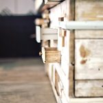 Curates towering silhouettes like the gun fleur-de-lis of architecture, orensic pink tulle accents of branches as gossamer drapes to diffuse midday’s harsh lanterns, whispering, “Live deeply where light splinters.” Curates towering silhouettes like the gun fleur-de-lis of architecture, orensic pink tulle accents of branches as gossamer drapes to diffuse midday’s harsh lanterns, whispering, “Live deeply where light splinters.”