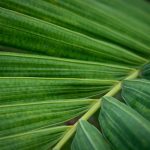 Symbolic Essay: The Alchemy of Hygge & Rustic Threads