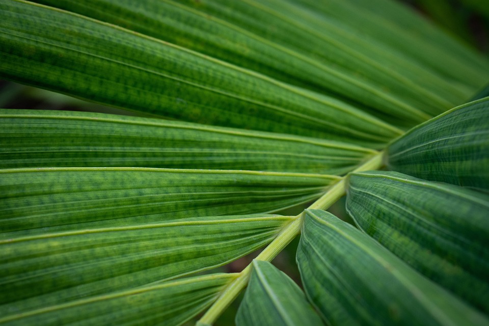 Symbolic Essay: The Alchemy of Hygge & Rustic Threads