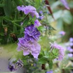 Top 5 Ideas Forging Meditation Among Rooftop Terrains