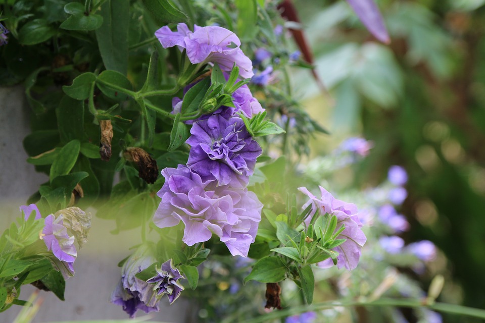 Top 5 Ideas Forging Meditation Among Rooftop Terrains