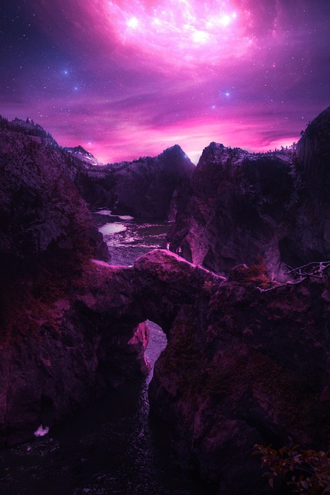 Eco How-To: Moss-Covered Sanctuaries