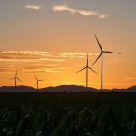 Eco How-To: Weaving Wool from Moonlit Sheep, Threads of Earthly Harmony Eco How-To: Weaving Wool from Moonlit Sheep, Threads of Earthly Harmony