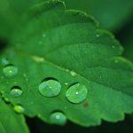 Symbolic Essay: Ceremonies of Clay & Whispers Etched in Soil