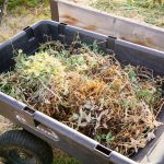 6 Clever Ways to Repurpose Yard Trimmings for a Zero Waste Garden Garden Betty 6 Clever Ways to Repurpose Yard Trimmings for a Zero Waste Garden Garden Betty