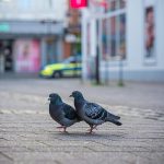 Eco How-To: Moonlit Sprouts in Recycled Moonbeam Cases Eco How-To: Moonlit Sprouts in Recycled Moonbeam Cases