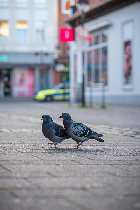 Eco How-To: Moonlit Sprouts in Recycled Moonbeam Cases