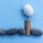 Poetic Guide: Whispers of moss and bone Poetic Guide: Whispers of moss and bone