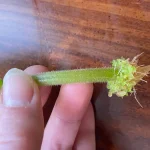 A Step-by-Step Guide to Two Methods