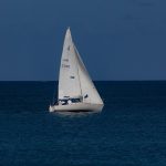 Eco How-To: Container Sanctuaries: Growing Green Havens In Every Window Eco How-To: Container Sanctuaries: Growing Green Havens In Every Window