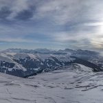 Symbolic Essay: Vines as Silent Weaver in Garden Mystique Symbolic Essay: Vines as Silent Weaver in Garden Mystique