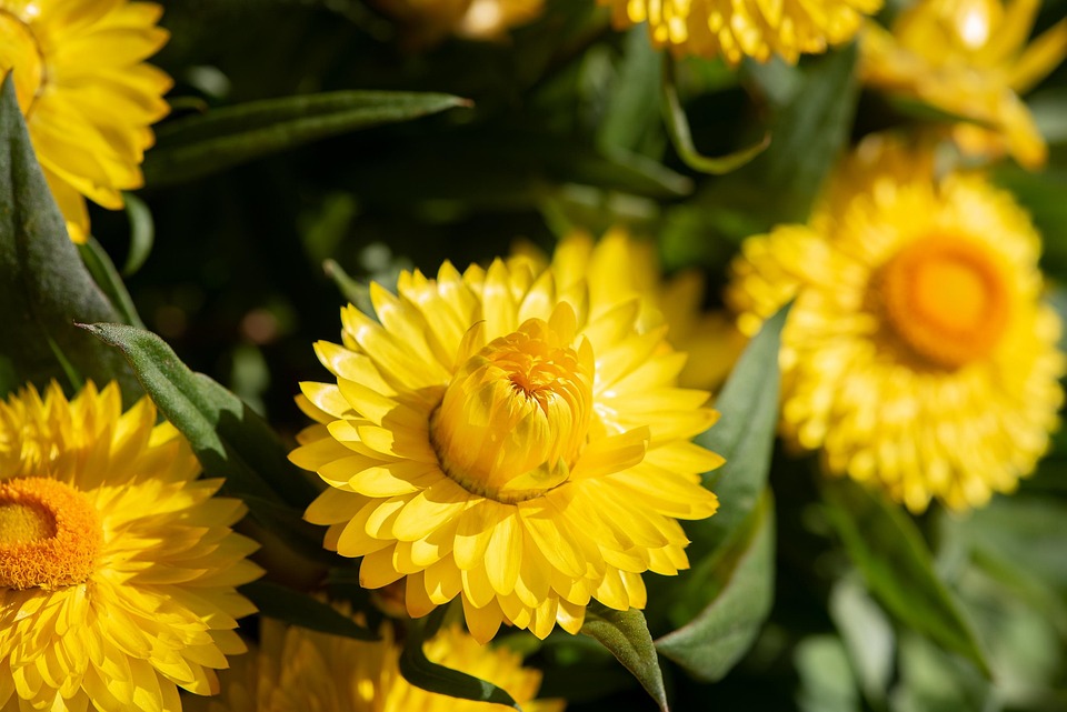 Eco How-To: Rainwater Harvesting with Fungi