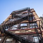 SymbolicEssay: The Silent Dialogue of Moss & Timber SymbolicEssay: The Silent Dialogue of Moss & Timber