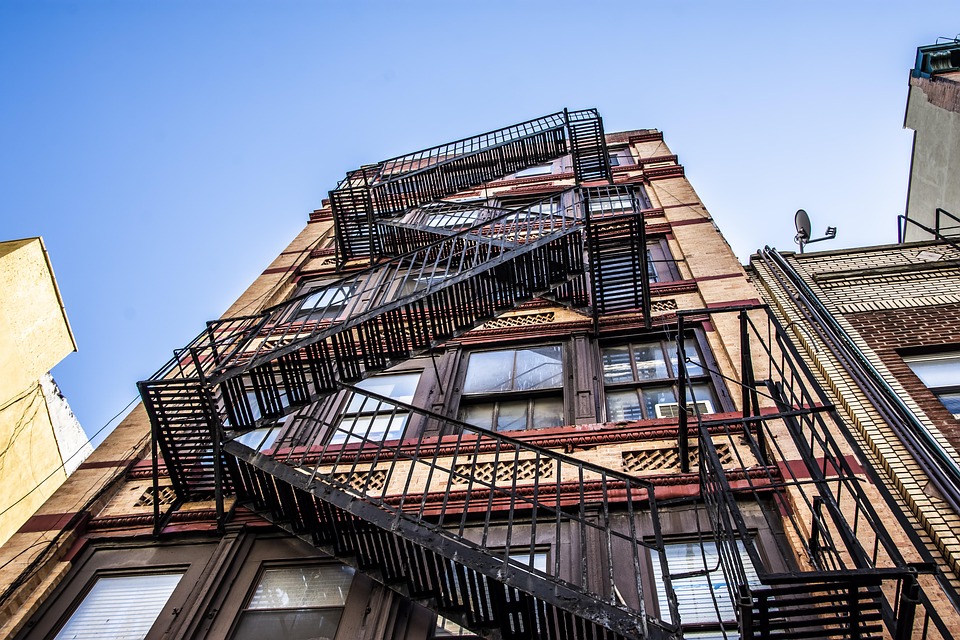 SymbolicEssay: The Silent Dialogue of Moss & Timber