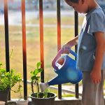 Poetic Guide to Urban Oases