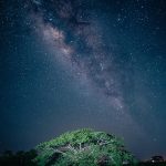 Titles lean into seasonal metaphors (dormant dreams, dawn, fireside), eco-conscious language, and hygge-inspired comfort, while avoiding literal literalism. Slugs would auto-convert to hyphenated formats like poetic-guide-whispers-dormant-dreams. Titles lean into seasonal metaphors (dormant dreams, dawn, fireside), eco-conscious language, and hygge-inspired comfort, while avoiding literal literalism. Slugs would auto-convert to hyphenated formats like poetic-guide-whispers-dormant-dreams.