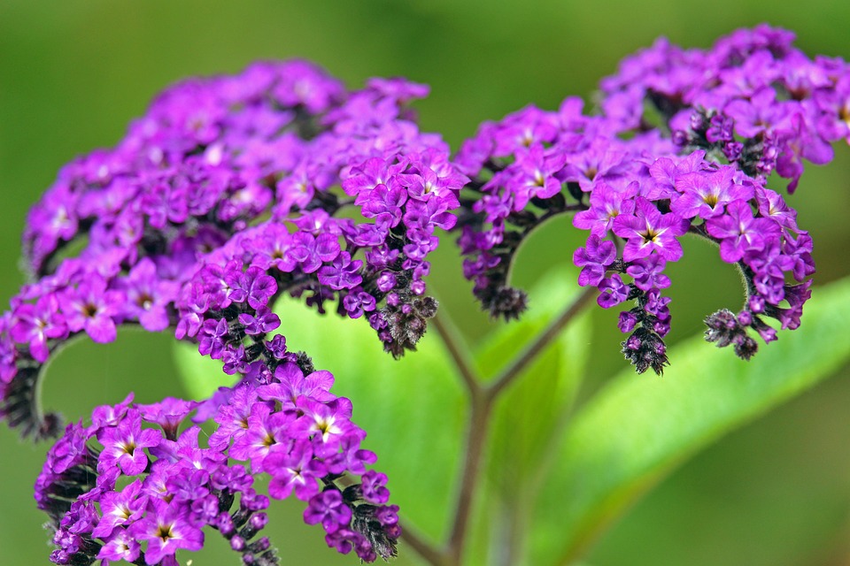 Best Of: Hidden Nooks in Urban Concrete