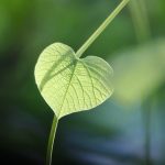 Eco How-To: Weaving Moss into Walls Without Breaking Skin