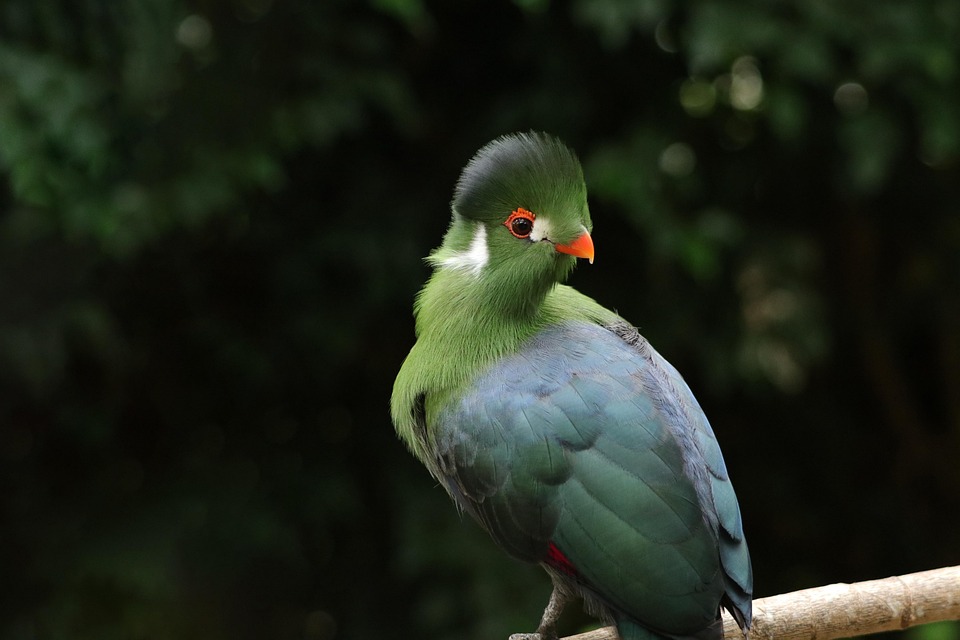 Eco How-To: Weaving Earth-Aligned Fibers into Everyday Threads