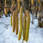 Seasonal Ritual: Autumn leaves shed what no longer nourishes