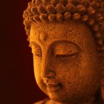 Symbolic Essay: Beneath Blossomed Canopies, Earth Speaks Forgiveness