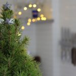 5 Ways to Re-Use Your Christmas Tree Post-Holiday
