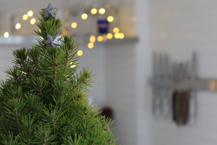 5 Ways to Re-Use Your Christmas Tree Post-Holiday