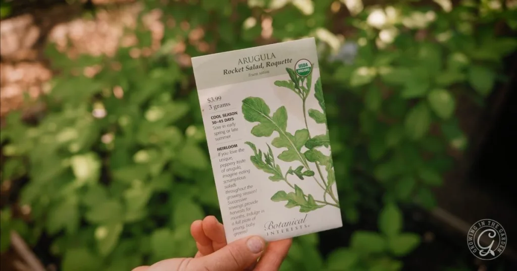 how to grow arugula: planting, care, and harvest 1 a hand holds a packet of arugula (rocket salad) seeds in a garden with green plants in the background, perfect for anyone learning how to grow arugula at home.
