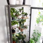 (Super Easy) DIY Indoor Greenhouse Ideas • The Garden Glove