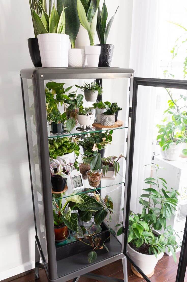 (Super Easy) DIY Indoor Greenhouse Ideas • The Garden Glove