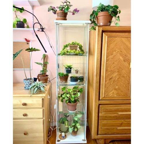 a narrow, rectangular ikea detorf cabinet has been turned into an indoor greenhouse