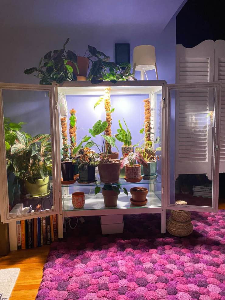 an indoor greenhouse made with a white ikea cabinet.