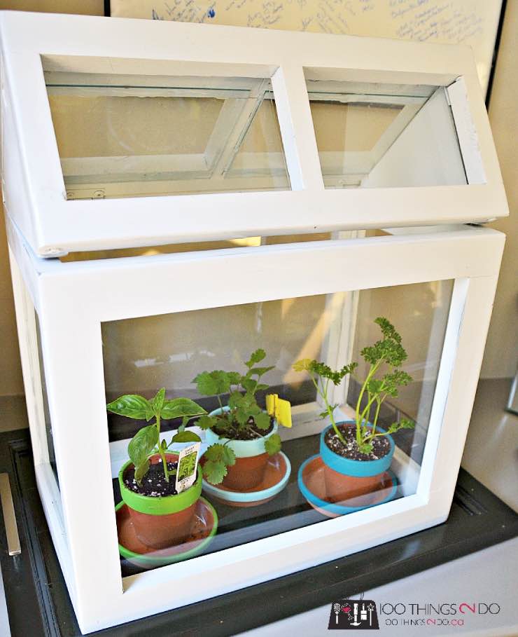 a small, house-shaped, tabletop-sized indoor greenhouse houses three small potted plants.