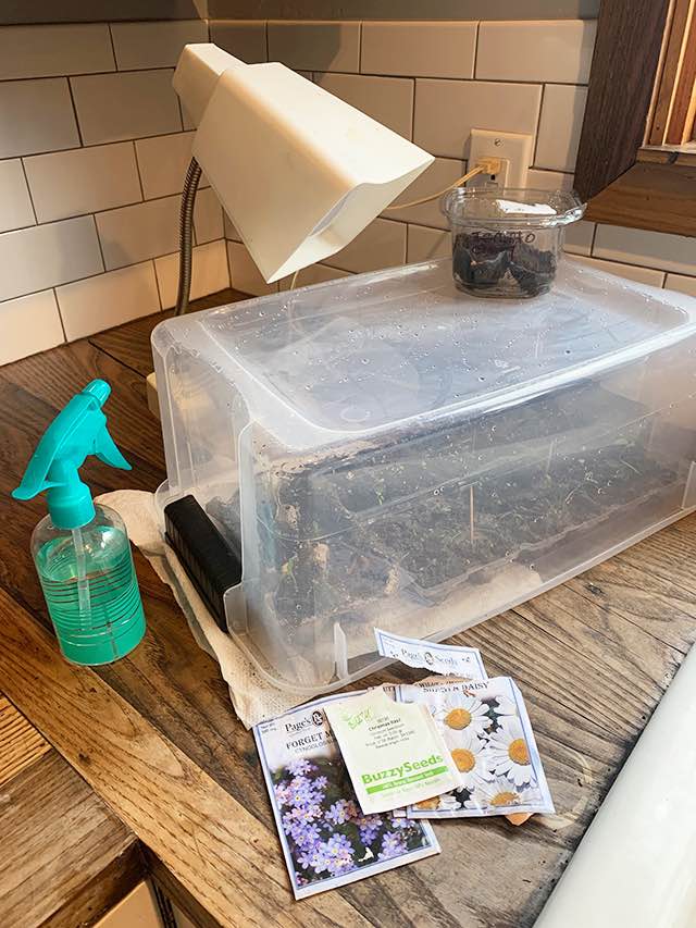 diy indoor greenhouse