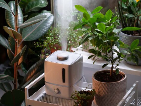 keep indoor plants thriving through the season • the garden glove 18 humidifier amongst a collection of houseplants
