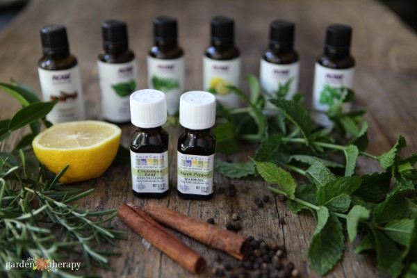 essential oils for cold and flu