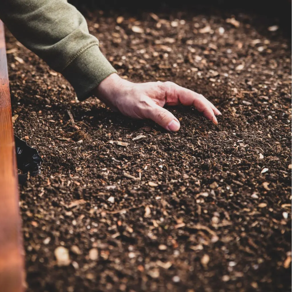 raised bed soil mix