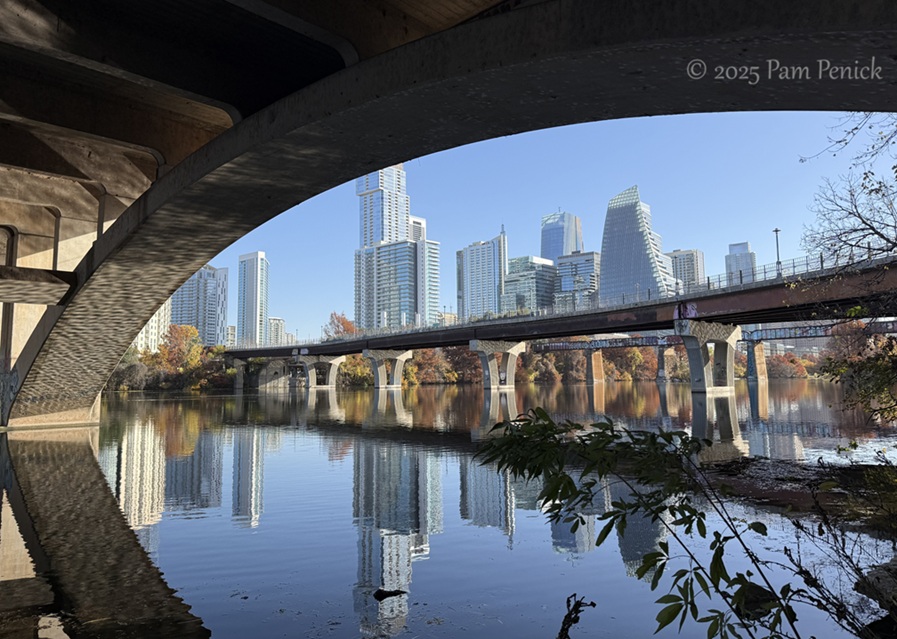 Winter stroll at Lady Bird Lake Winter stroll at Lady Bird Lake