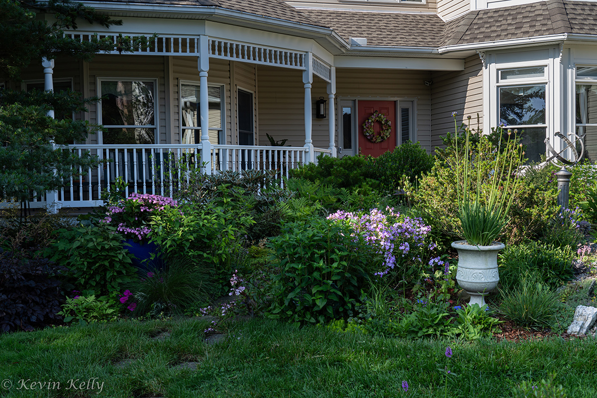 front foundation plantings