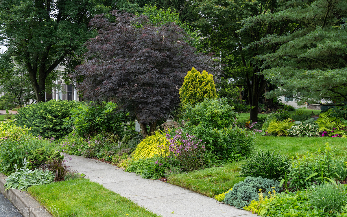 front border with colorful foliage plants