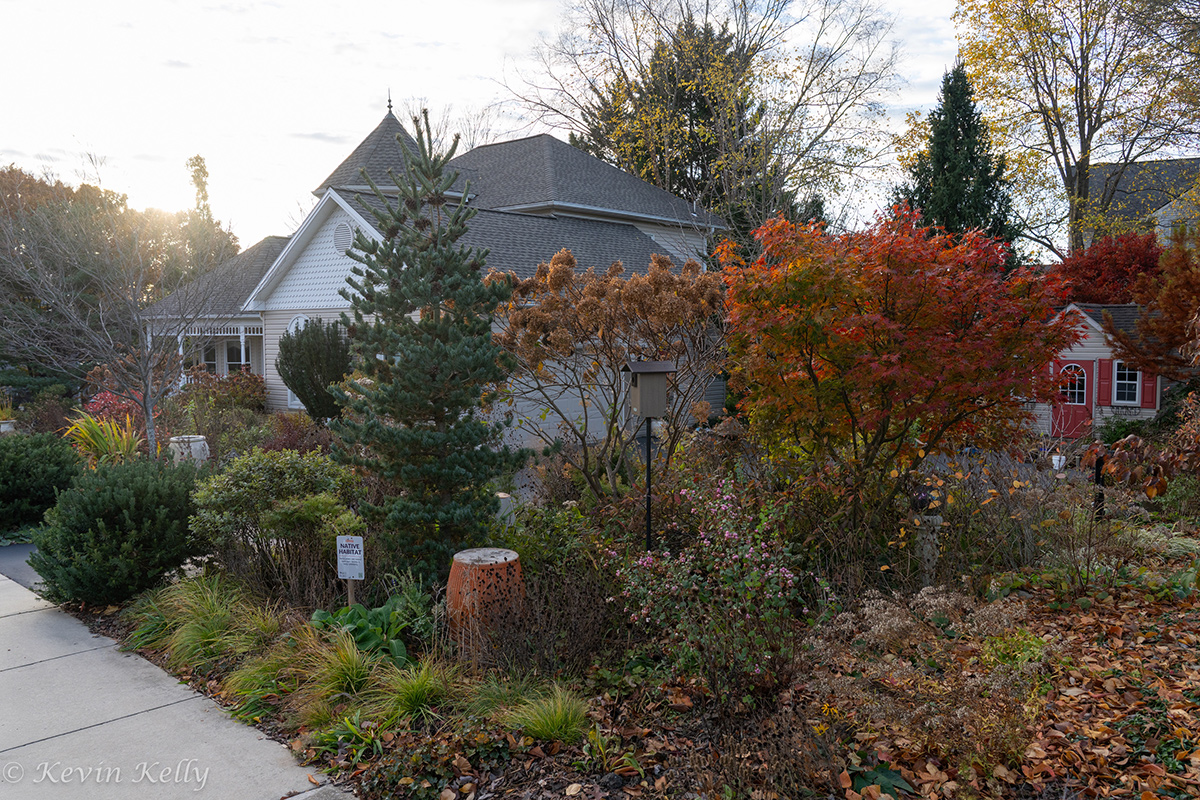 front garden with colorful fall foliage
