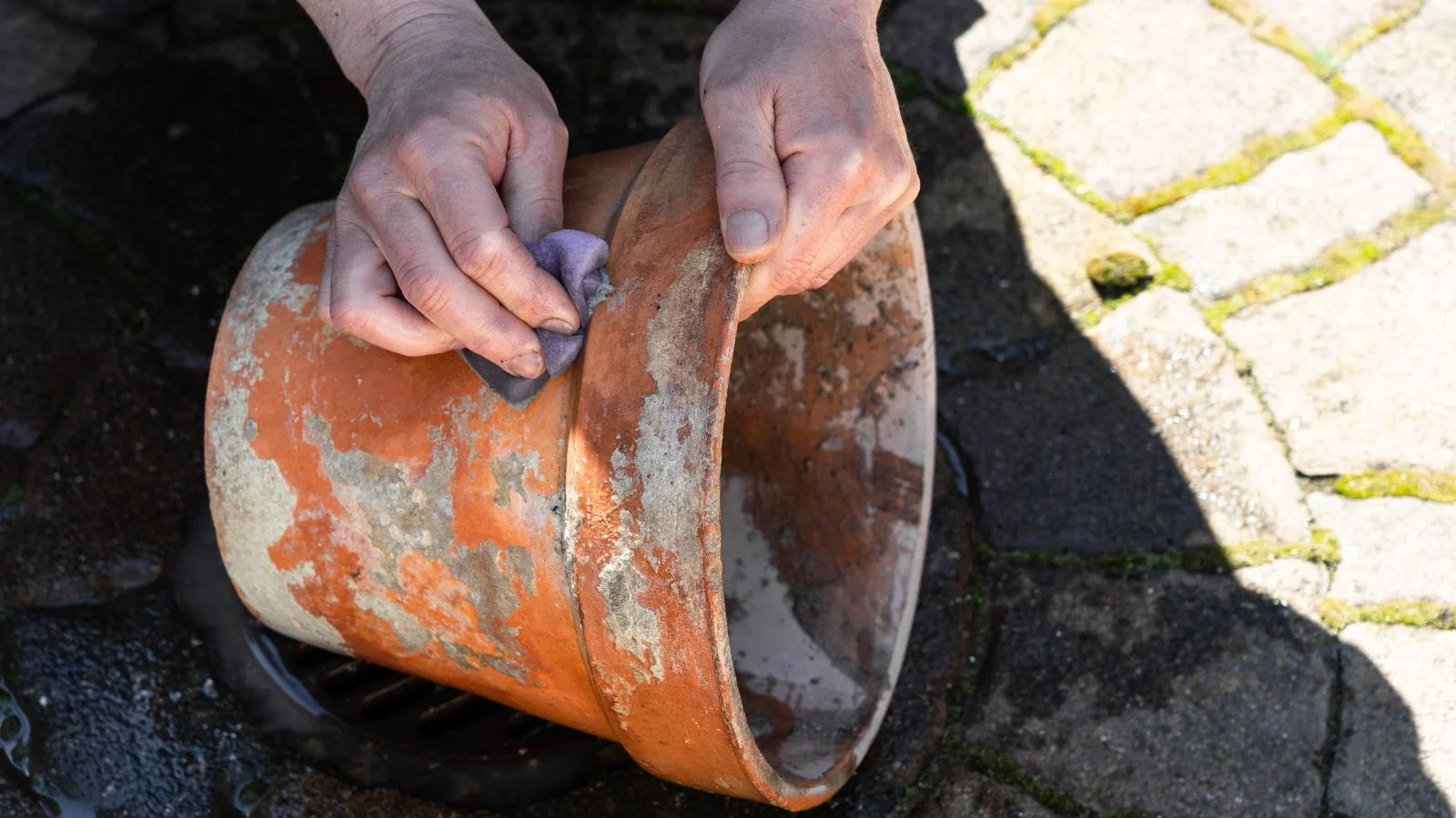 a close-up shot of a person in the process of scrubbing a clay planter, using dish soap and clean water, all situated in a well lit area outdoors
