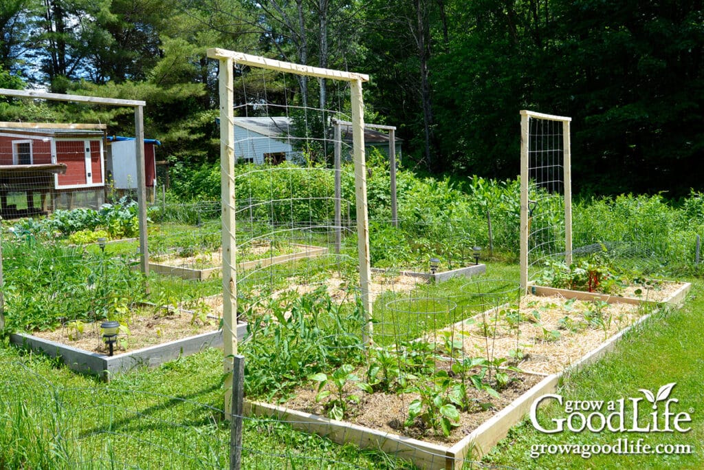 how to plan and map your beds 20 early summer raised bed vegetable garden with wooden trellis supports.