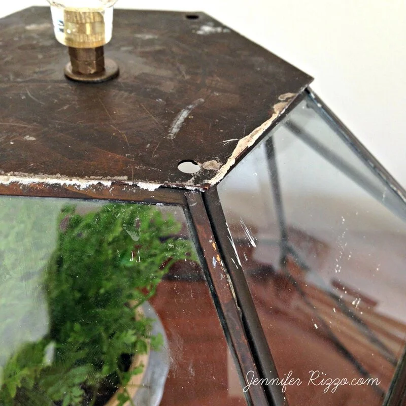 repurposed glass lamp shade cloche terrarium 2 close-up of a weathered, hexagonal glass lantern with a metal frame, ingeniously transformed into a diy terrarium, housing a vibrant potted green plant. "jennifer rizzo.com" is written at the bottom.