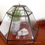 Repurposed Glass Lamp Shade Cloche Terrarium