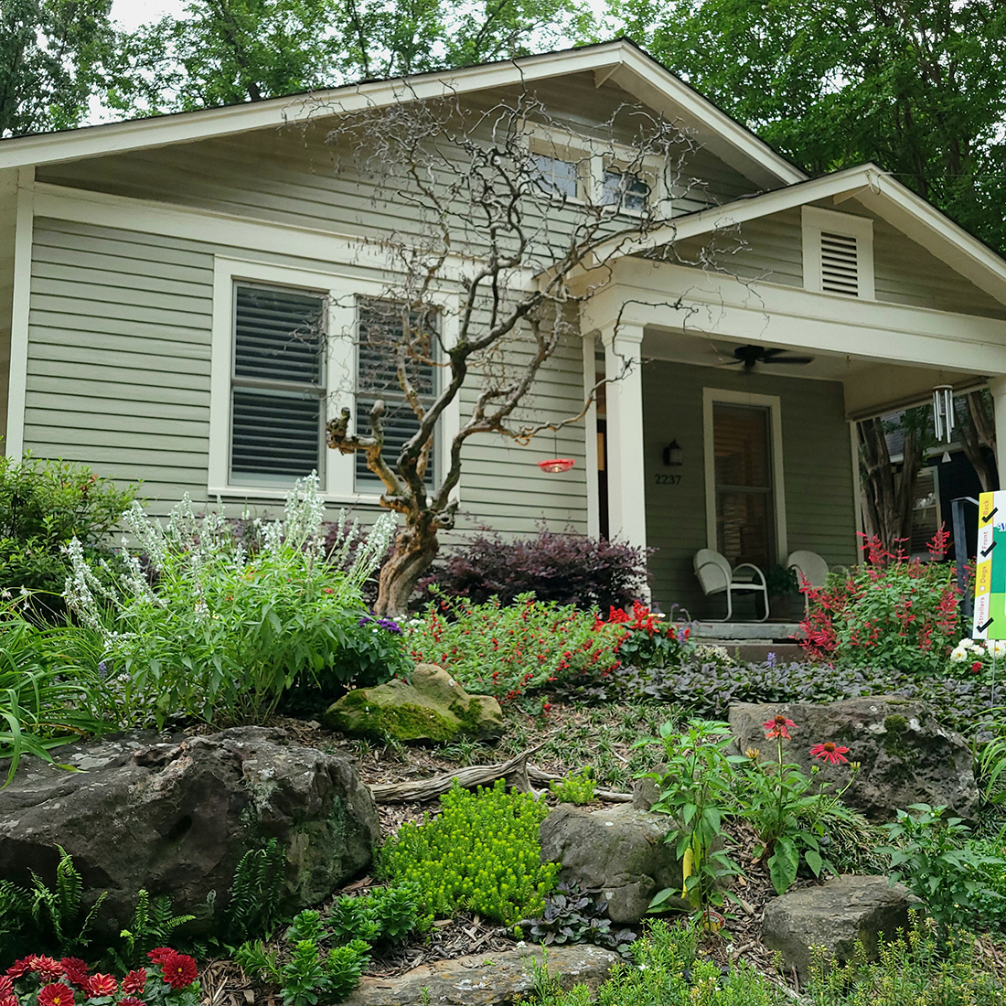 front garden with small tree